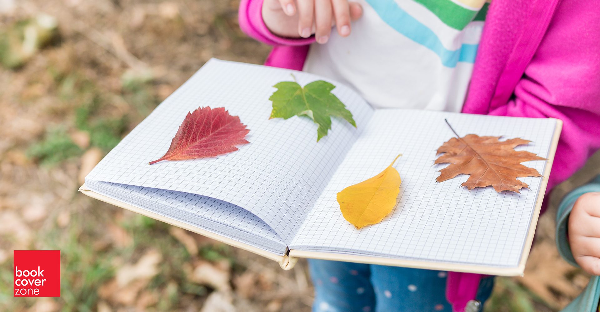 Diverse Design: A Pledge for Inclusivity in Visual Storytelling