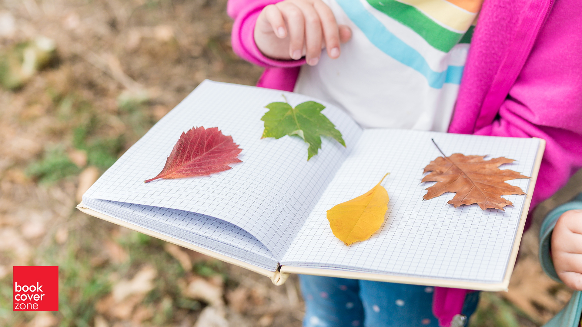 Diverse Design: A Pledge for Inclusivity in Visual Storytelling