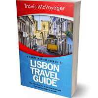 Tablet view of Japonica #0076 - Premade Travel Book Cover | BookCoverZone