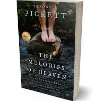 Tablet view of Heavy Metal #1071 - Premade Teen & Young Adult Book Cover | BookCoverZone