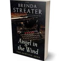 Tablet view of Cod Gray #4077 - Premade Literary Fiction Book Cover | BookCoverZone