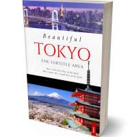 Tablet view of Thunder #5336 - Premade Travel Book Cover | BookCoverZone