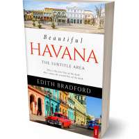 Tablet view of Soft Amber #5368 - Premade Travel Book Cover | BookCoverZone
