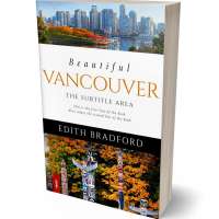 Tablet view of Whiskey #5373 - Premade Travel Book Cover | BookCoverZone