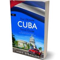 Tablet view of Thatch #5411 - Premade Travel Book Cover | BookCoverZone