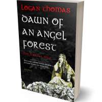 Tablet view of Soft Amber #6252 - Premade Fantasy Book Cover | BookCoverZone