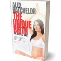 Tablet view of Persian Red #6604 - Premade Health & Mind & Body Book Cover | BookCoverZone