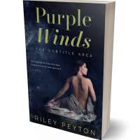 Tablet view of Mirage #7458 - Premade Erotica Book Cover | BookCoverZone