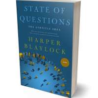 Tablet view of Blumine #8462 - Premade Politics & Law & Society Book Cover | BookCoverZone