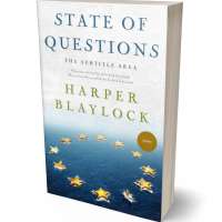 Tablet view of Mystic #8463 - Premade Politics & Law & Society Book Cover | BookCoverZone