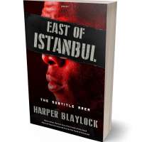 Tablet view of Turkish Rose #8487 - Premade Mystery & Thriller & Suspense Book Cover | BookCoverZone