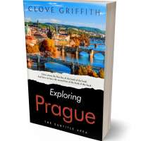 Tablet view of Cod Gray #10331 - Premade Travel Book Cover | BookCoverZone