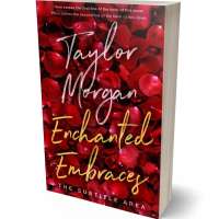 Tablet view of Dark Burgundy #14853 - Premade Romance Book Cover | BookCoverZone