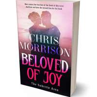 Tablet view of Cinder #15086 - Premade Romance Book Cover | BookCoverZone