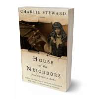 Tablet view of Grain Brown #21067 - Premade Fantasy Book Cover | BookCoverZone
