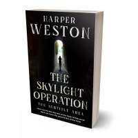 Tablet view of Cod Gray #23808 - Premade Mystery & Thriller & Suspense Book Cover | BookCoverZone