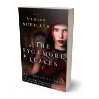 Tablet view of Gondola #25800 - Premade Fantasy Book Cover | BookCoverZone