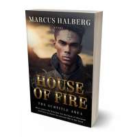 Tablet view of Tan #26796 - Premade Fantasy Book Cover | BookCoverZone