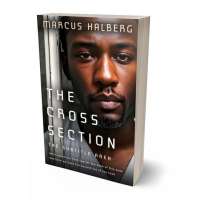 Tablet view of Cocoa Brown #26997 - Premade Mystery & Thriller & Suspense Book Cover | BookCoverZone