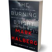 Tablet view of Mirage #27297 - Premade Mystery & Thriller & Suspense Book Cover | BookCoverZone