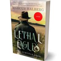 Tablet view of Calico #27335 - Premade Western Book Cover | BookCoverZone