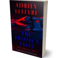 Tablet view of Ebony #29289 - Premade Erotica Book Cover | BookCoverZone