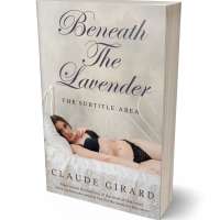 Tablet view of Swirl #29927 - Premade Romance Book Cover | BookCoverZone