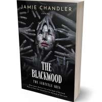 Tablet view of Woodsmoke #31341 - Premade Surreal Book Cover | BookCoverZone