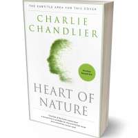 Tablet view of Pale Leaf #31608 - Premade Health & Mind & Body Book Cover | BookCoverZone