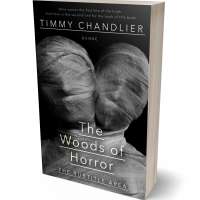 Tablet view of Mine Shaft #31739 - Premade Mystery & Thriller & Suspense Book Cover | BookCoverZone