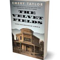 Tablet view of Eagle #32455 - Premade Historical Book Cover | BookCoverZone
