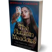 Tablet view of Bunker #33129 - Premade Fantasy Book Cover | BookCoverZone