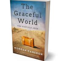 Tablet view of Gray Nickel #33240 - Premade Travel Book Cover | BookCoverZone