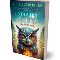 Tablet view of Blue Dianne #33627 - Premade Fantasy Book Cover | BookCoverZone