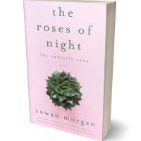 Tablet view of Carousel Pink #34397 - Premade Poetry Book Cover | BookCoverZone