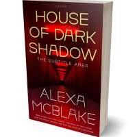 Tablet view of Burnt Maroon #34549 - Premade Mystery & Thriller & Suspense Book Cover | BookCoverZone