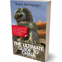 Tablet view of Armadillo #96 - Premade Travel Book Cover