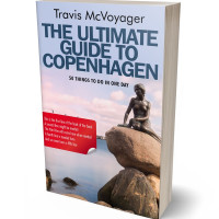 3D view of Mischka #101 - Premade Travel Book Cover