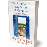 3D view of St Tropaz #114 - Premade Literary Fiction Book Cover