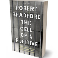 3D view of Ironside Gray #120 - Premade Mystery & Thriller & Suspense Book Cover