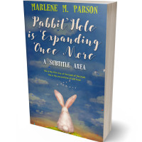 3D view of Bismark #0300 - Premade Surreal Book Cover | BookCoverZone