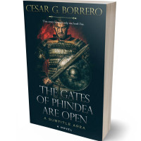 Tablet view of Firefly #461 - Premade Historical Book Cover