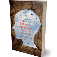 3D view of Loblolly #567 - Premade Self-Improvement & Self-Help Book Cover