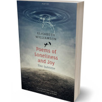 Tablet view of Limed Spruce #568 - Premade Business Book Cover