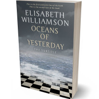 Tablet view of Mako #591 - Premade Fantasy Book Cover