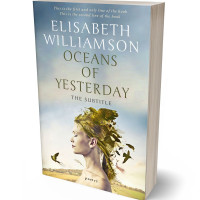 3D view of Celeste #592 - Premade Poetry Book Cover