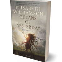 Tablet view of Napa #596 - Premade Surreal Book Cover