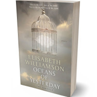 Tablet view of Zorba #599 - Premade Abstract Book Cover