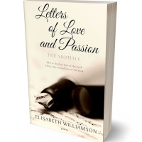 3D view of Eternity #608 - Premade Poetry Book Cover