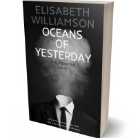 Tablet view of Cod Gray #615 - Premade Business Book Cover